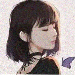 用户 白露未晞 头像